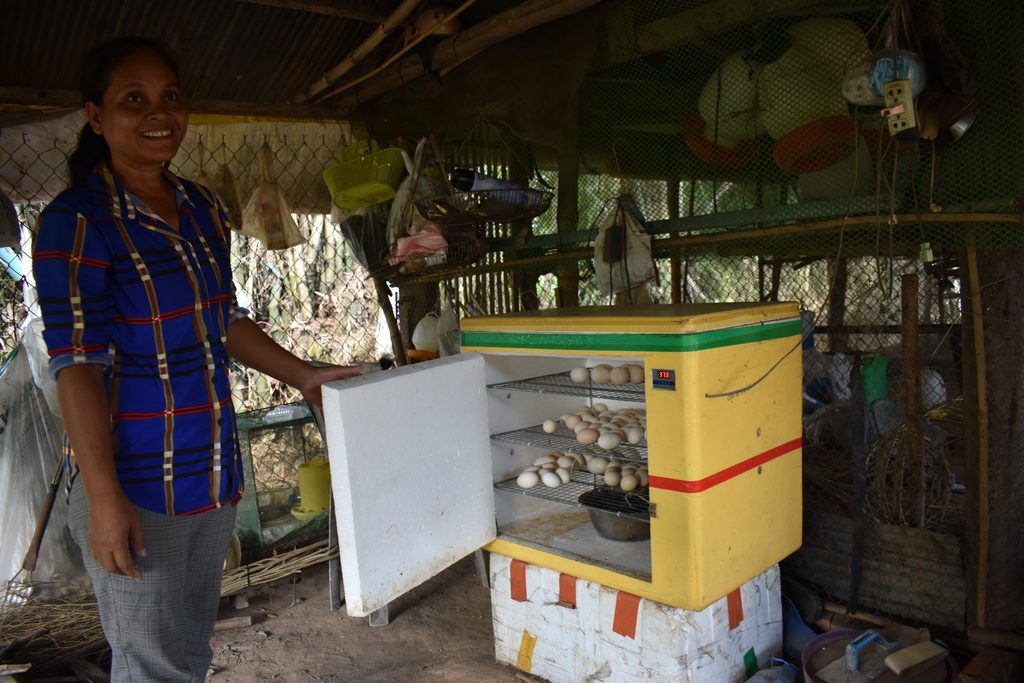 A woman stands beside a yellow incubator with eggs inside, in a rustic setting filled with hanging items and a mesh backdrop.